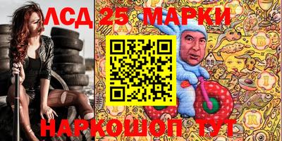 молекула духа Будённовск