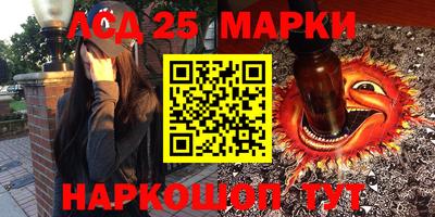 молекула духа Будённовск