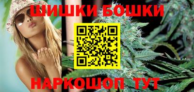 молекула духа Будённовск