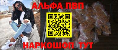 молекула духа Будённовск