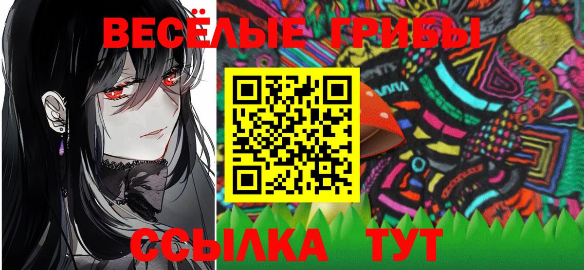 Галлюциногенные грибы Psilocybine cubensis  Вход с VPN  Сальск 